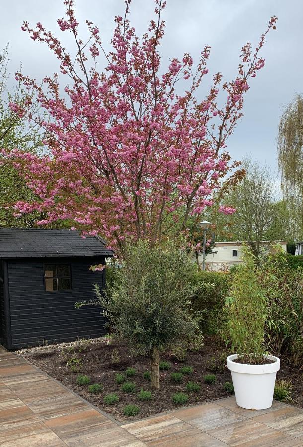 Vila Cool Huisje Aan De Maas Op-Op-Andel Exteriér fotografie